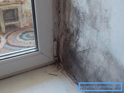 Разбојничка слика, нели? Разбојничка слика, нели?