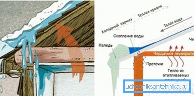 2797 Ефектот на топол покрив