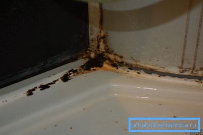 Фото на мувла во кутија за туширање Фото на мувла во кутија за туширање