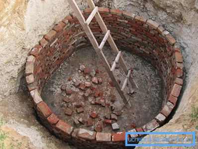 1186 Вкочанетост ќе биде лошо
