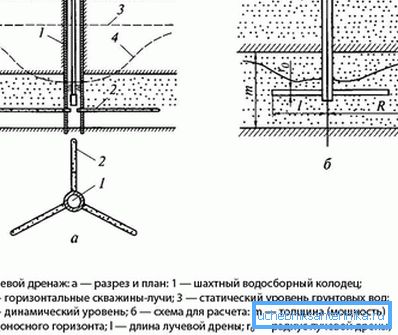 1205 Зрак