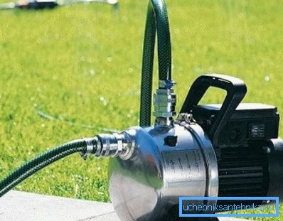 На фотографијата - демократска опција за дхала, нејзината глава е доволна за да ги напои креветите На фотографијата - демократска опција за дхала, нејзината глава е доволна за да ги напои креветите