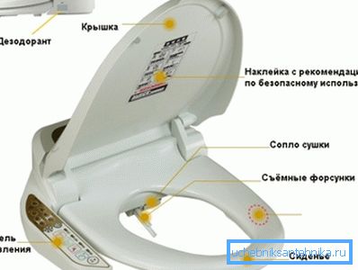 На фотографијата - главните елементи на На фотографијата - главните елементи на