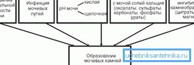 На фотографијата се прикажани причините за уринарниот камен. На фотографијата се прикажани причините за уринарниот камен.