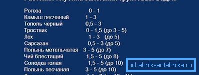 Присуството на растенија ќе ја раскаже длабочината на аквиферот Присуството на растенија ќе ја раскаже длабочината на аквиферот