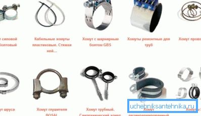 Неколку фотографии од различни видови на прстиња. Неколку фотографии од различни видови на прстиња.