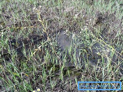 1200 Земјата не апсорбира вода