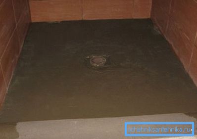 Кат подредени под палетата Кат подредени под палетата