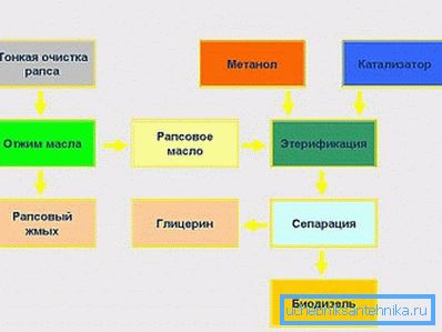 Добивање на биодизел од семе од репка. Добивање на биодизел од семе од репка.
