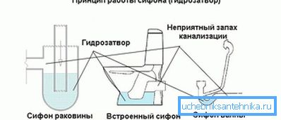 Принципот на стапицата Принципот на стапицата