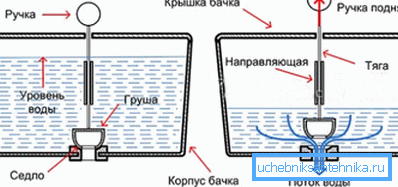 Наједноставниот систем мозоци. Наједноставниот систем мозоци.