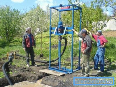 Вегетација на местото на дупчење. Вегетација на местото на дупчење.