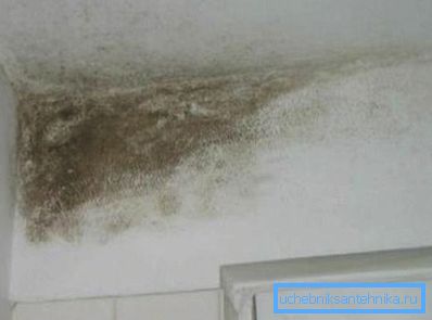 Мултипликацијата на мувла е резултат на лошата циркулација на воздухот во станот. Мултипликацијата на мувла е резултат на лошата циркулација на воздухот во станот.