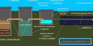 1168 Со филтер поле
