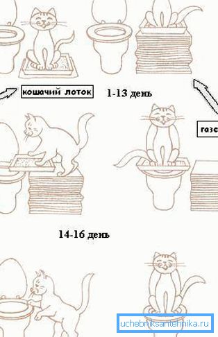Модел за формирање вештина Модел за формирање вештина