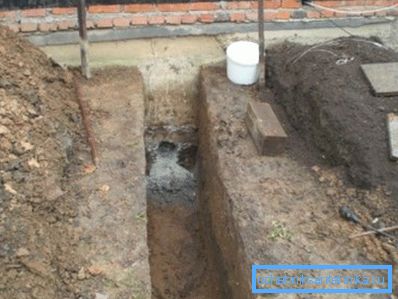 Рен во близина на влезот во куќата Рен во близина на влезот во куќата