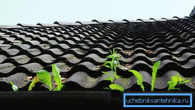 900 Нечистотијата се акумулира во олукот