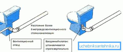 Видови Видови