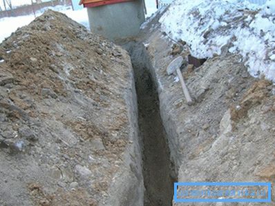 Ние копаме ровот. Малите свиоци не се страшни.